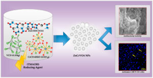 Nanoparticles: The Tiny Warriors