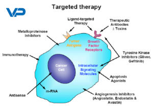 Targeted Therapies