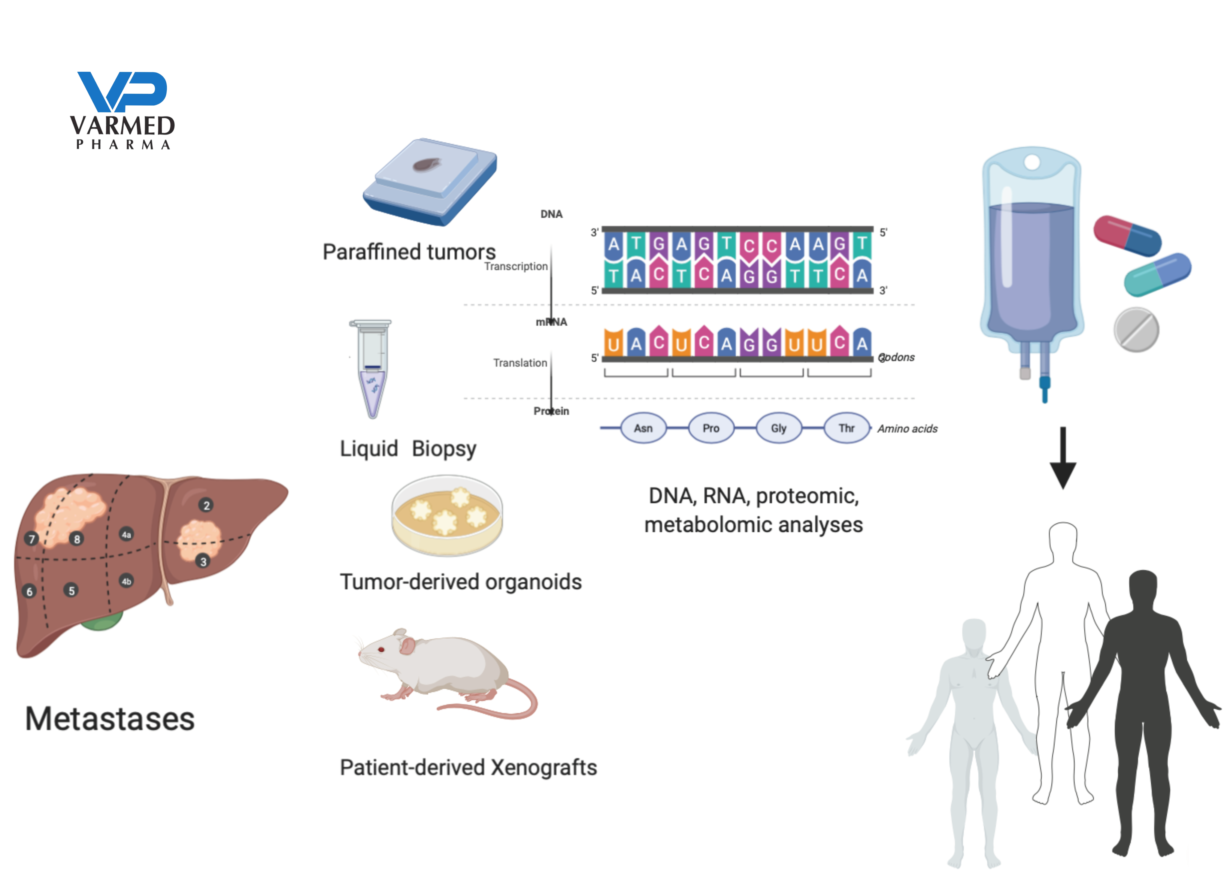 the Rise of Precision Medicine